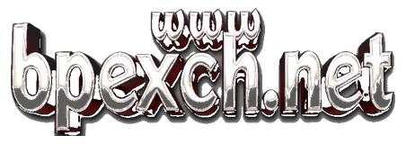 www bpexch.net logo